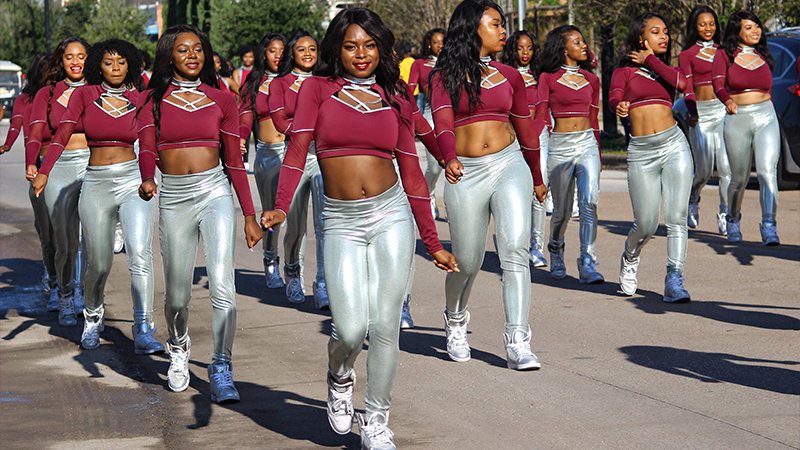 Tiger Sensations